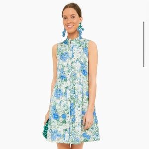 Tuckernuck Sleeveless Royal Shirt Dress XL EUC